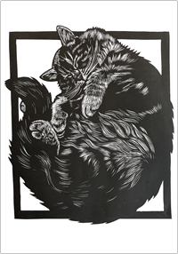 Image of card