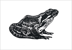 Image of card