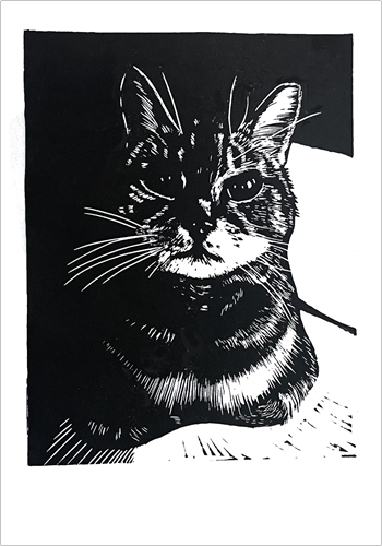 Image of card