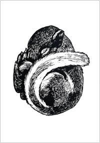 Image of card