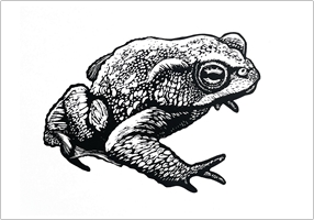 Image of card