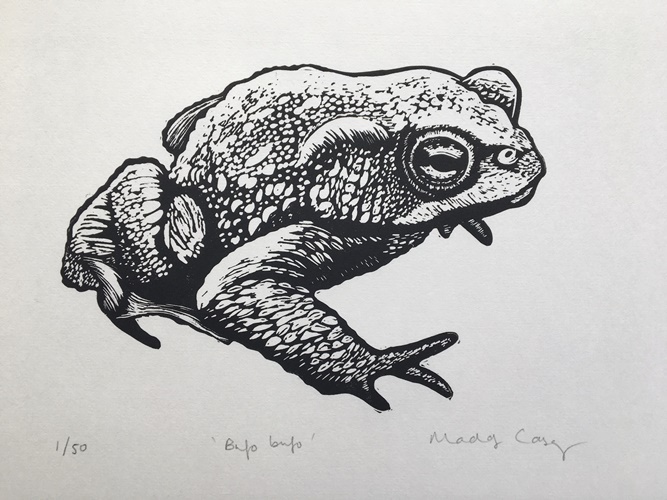 Image of print